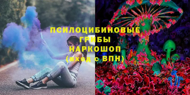 Псилоцибиновые грибы Psilocybine cubensis  Александровск 